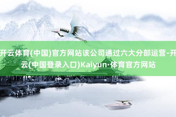 开云体育(中国)官方网站该公司通过六大分部运营-开云(中国登录入口)Kaiyun·体育官方网站